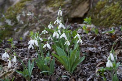 Прикрепленное изображение: 1.jpg